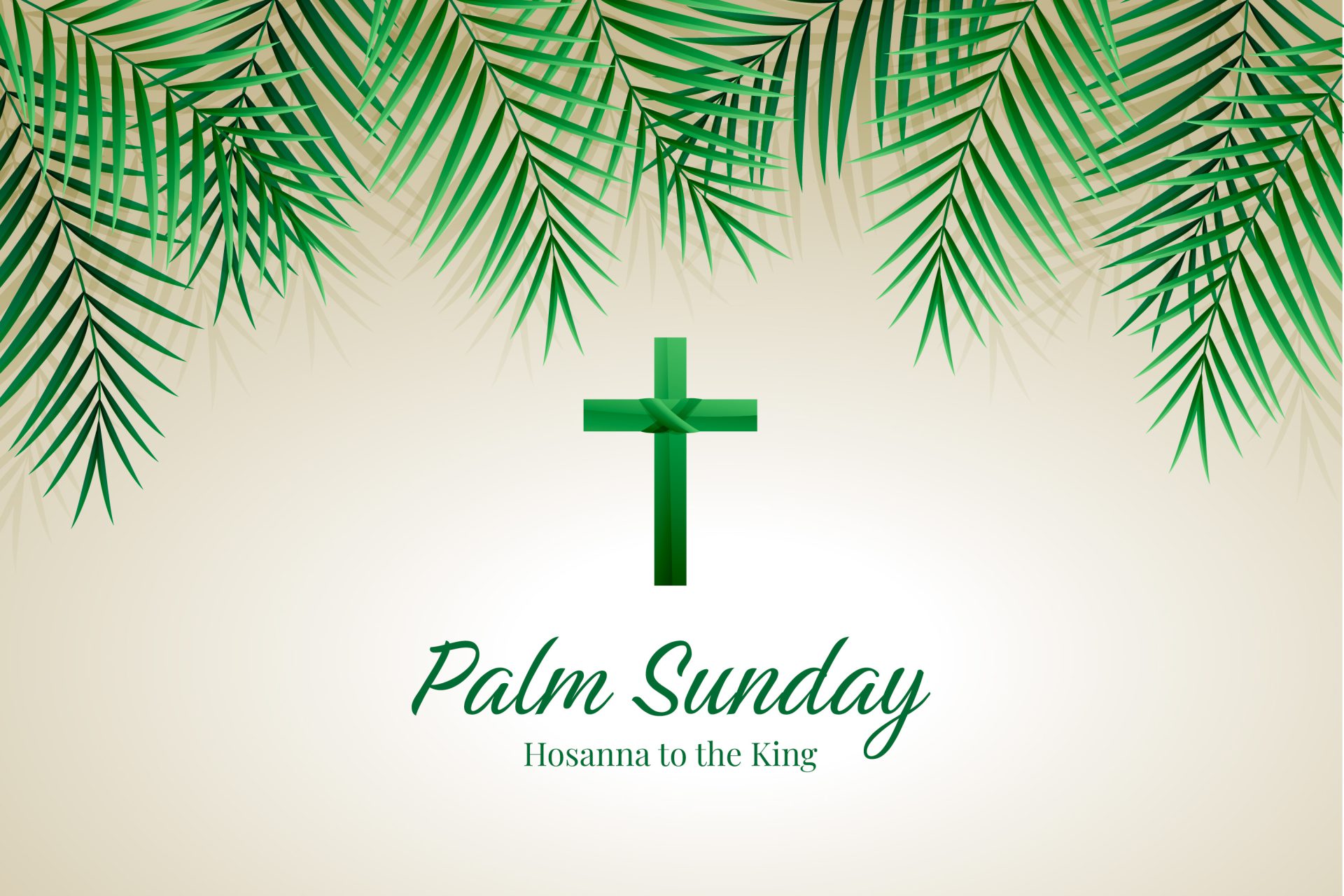 Palm Sunday, Year B-2024 Reflection - AJAN